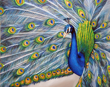 Commissioned Paintings by Susanna Pantas